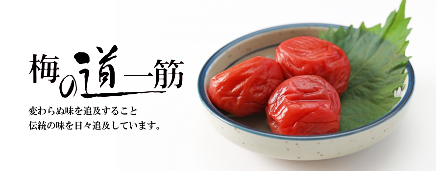 梅のイメージ画像
